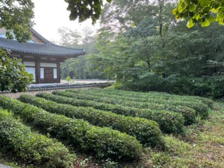 KakaoTalk_20250903_103204262.jpg 이미지