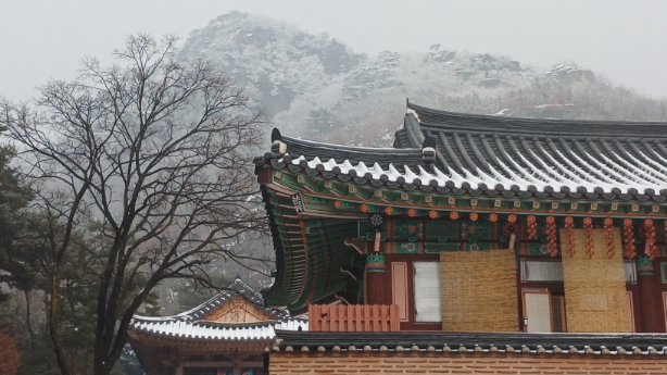 KakaoTalk_20251207_091014923.jpg 이미지