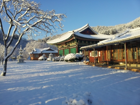 20121206_081021.jpg 이미지